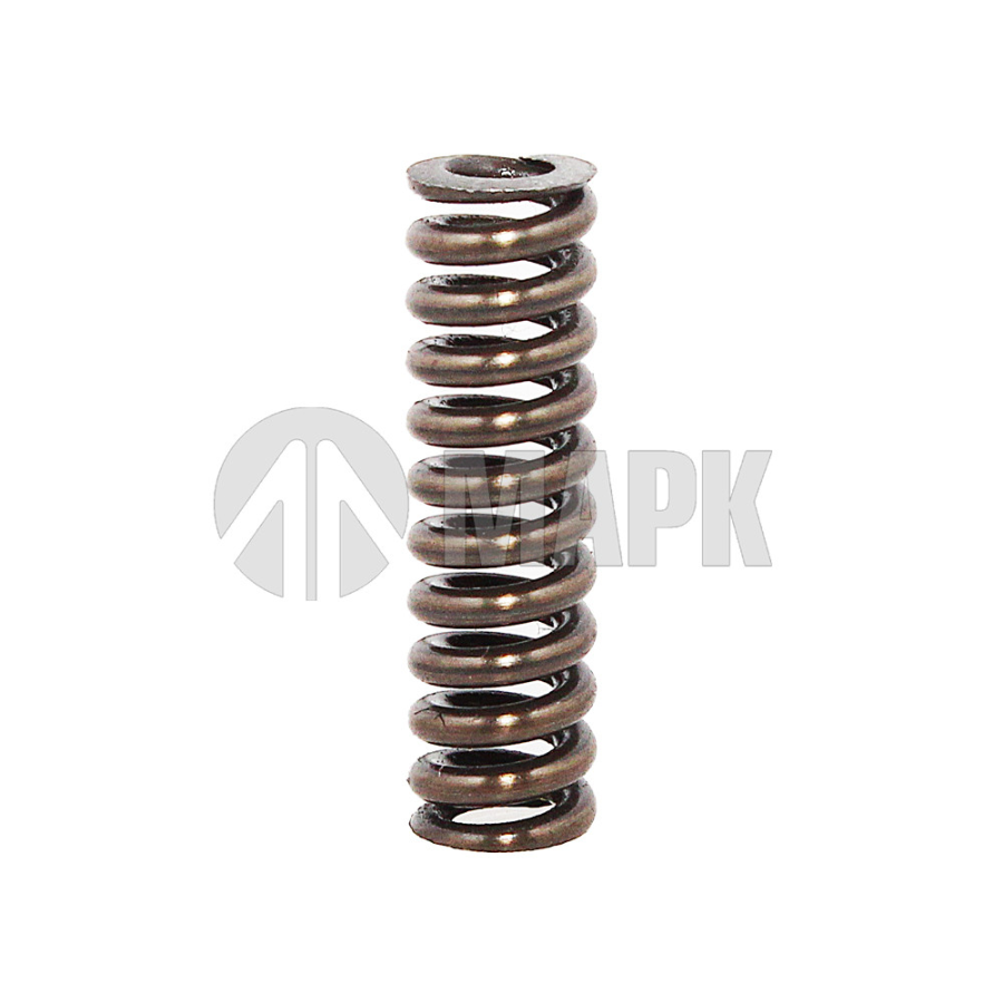 Пружина нажимная (ZF 0732 040 409) EURORICAMBI