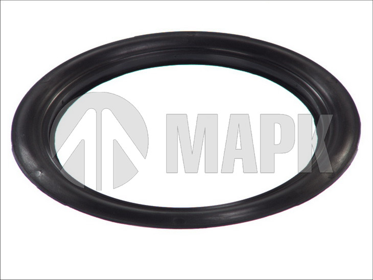 Кольцо уплотнительное ступицы BPW ECO Plus 8-9t (122x160x8.7) пластик (TrailerParts)