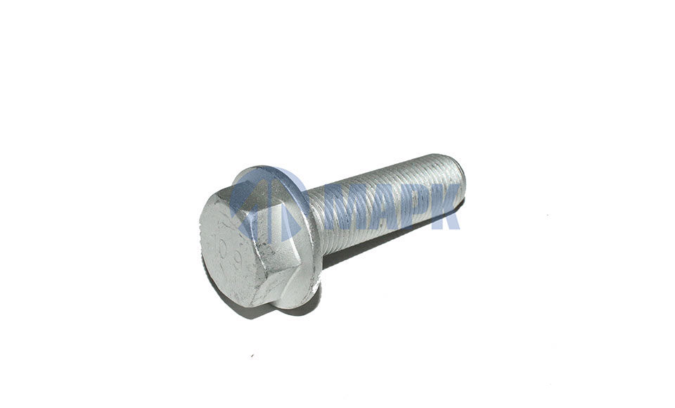Болт крепления суппорта Schmitz/SAF (M16x1.5х55) (TrailerParts)