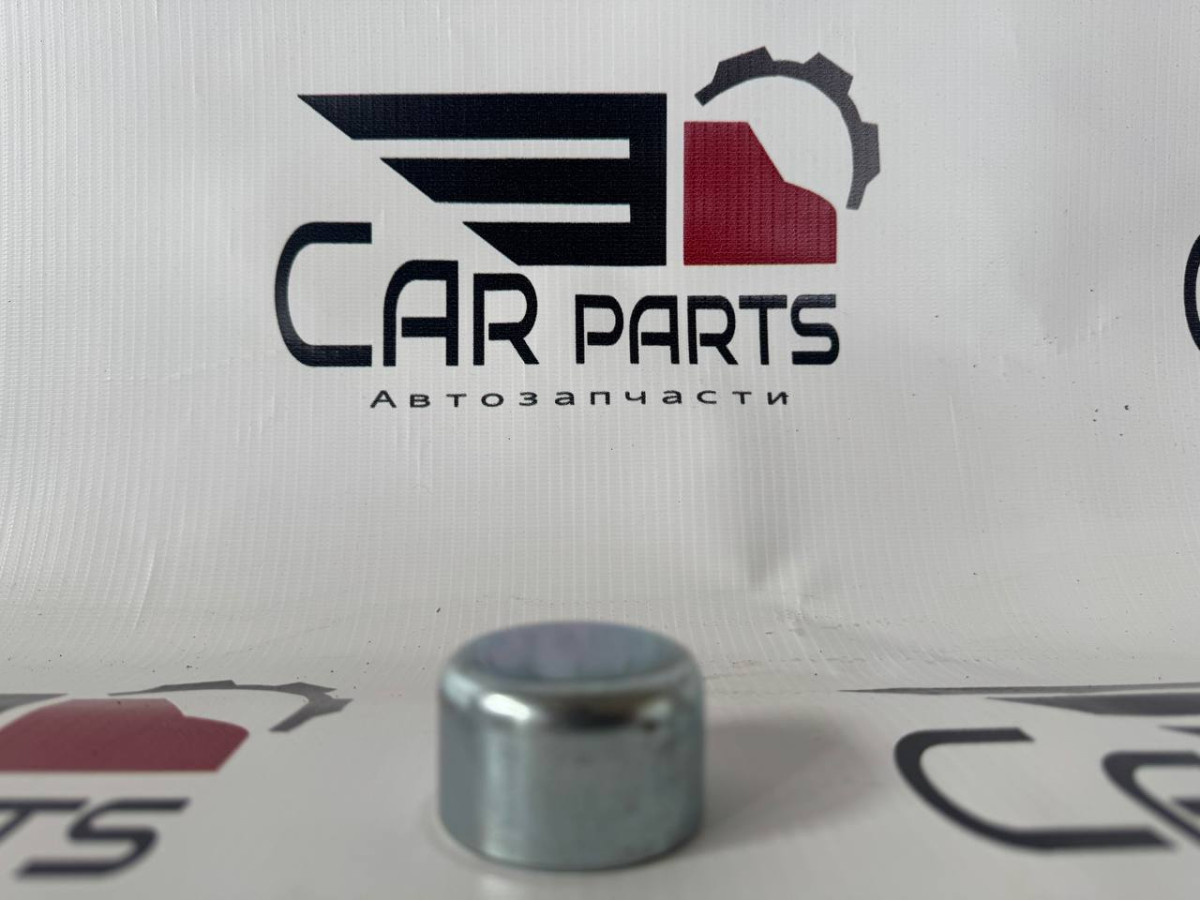 TP15733 - Заглушка металлическая KNORR SB6/7 D=40/H=24.5mm.(высокая) (TrailerParts)