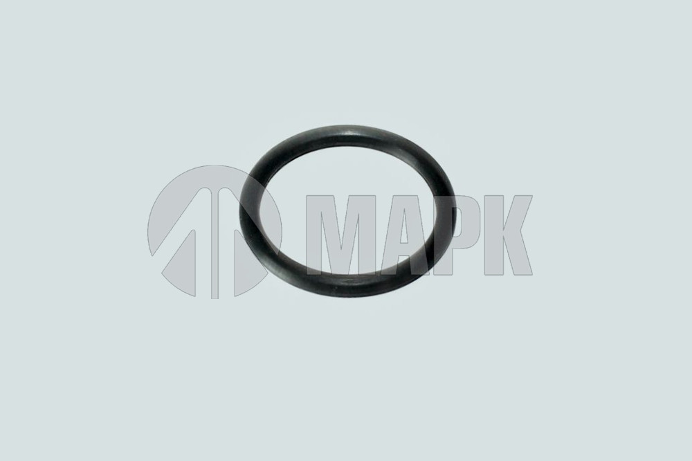 Кольцо уплот. на пробку резьбов. M22 ISBe, ISLe, ISF 3.8 DCEC