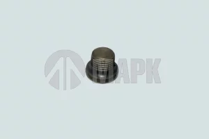 Пробка резьбовая (заглушка ГБЦ) (M10x1,00) (L) DCEC