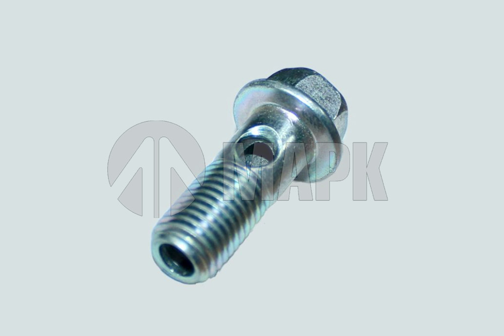 Штуцер/болт М10х1,25х25 ТКР (ISF2.8) 5290872